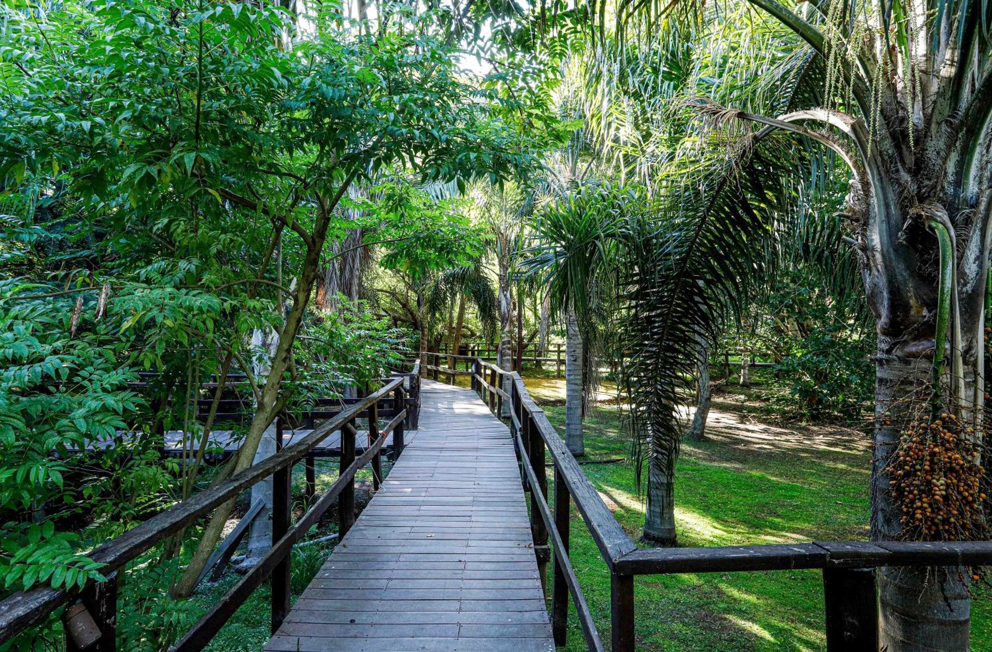 Delta Eco Resort & Spa Tigre Exterior photo