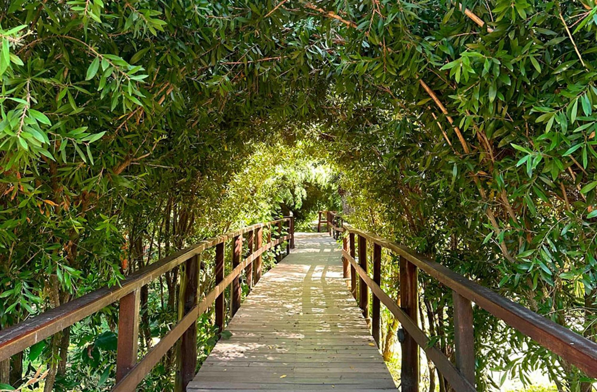 Delta Eco Resort & Spa Tigre Exterior photo